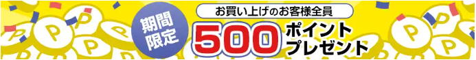 購入後に500ポイント